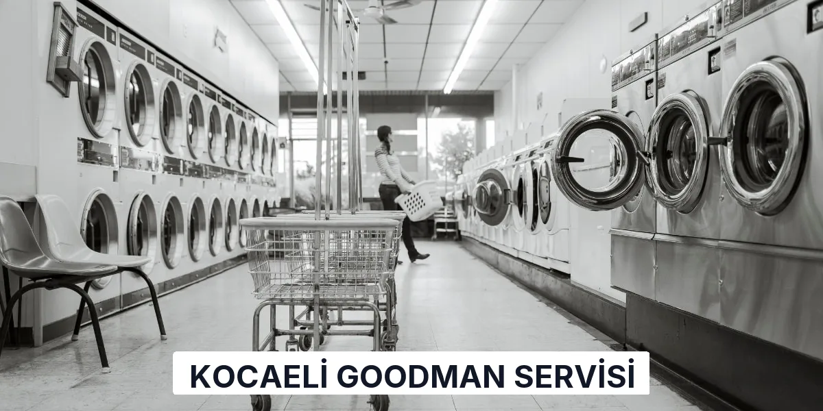 Kocaeli Goodman Servisi